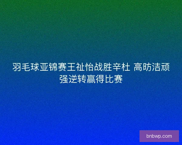 羽毛球亚锦赛王祉怡战胜辛杜 高昉洁顽强逆转赢得比赛